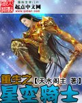 重生之星空骑士