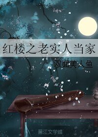 (红楼同人)红楼之老实人当家