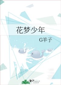 花梦少年