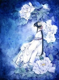 雍華譜記