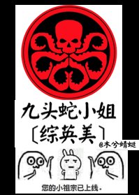 反派组织的研究员小姐[综英美]/九头蛇小姐[综英美]